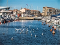 Image du bien LPI3106753